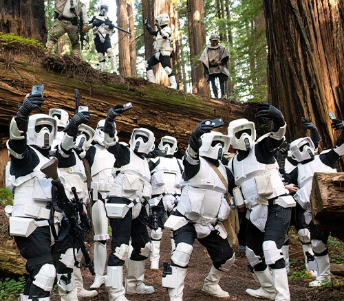 Star Wars Forest Moon Festival
